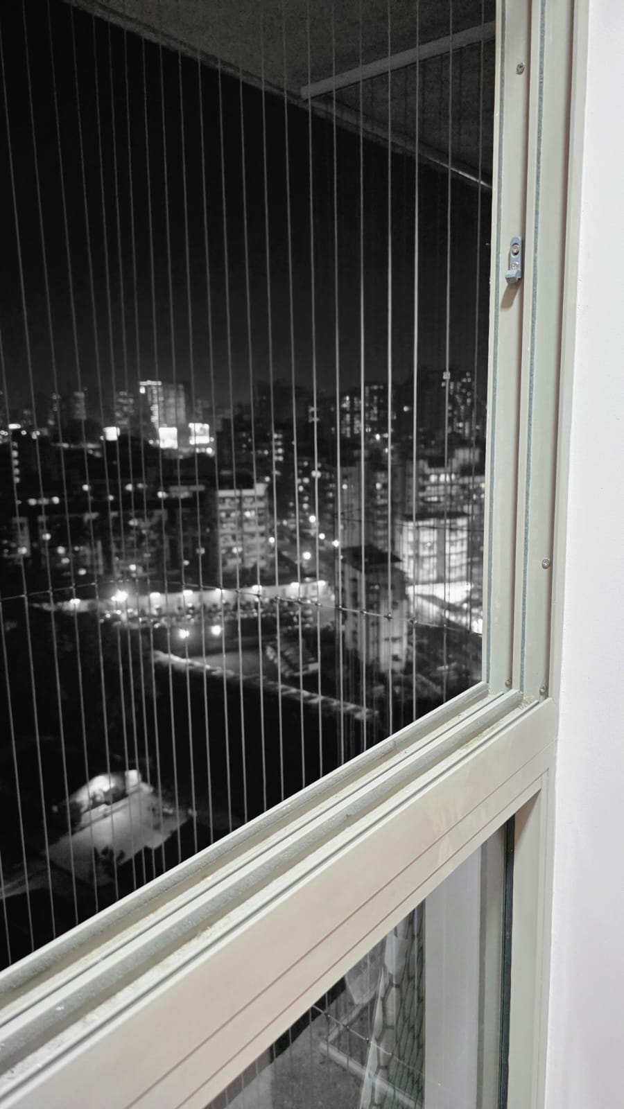 Invisible Grill - 3.jpeg